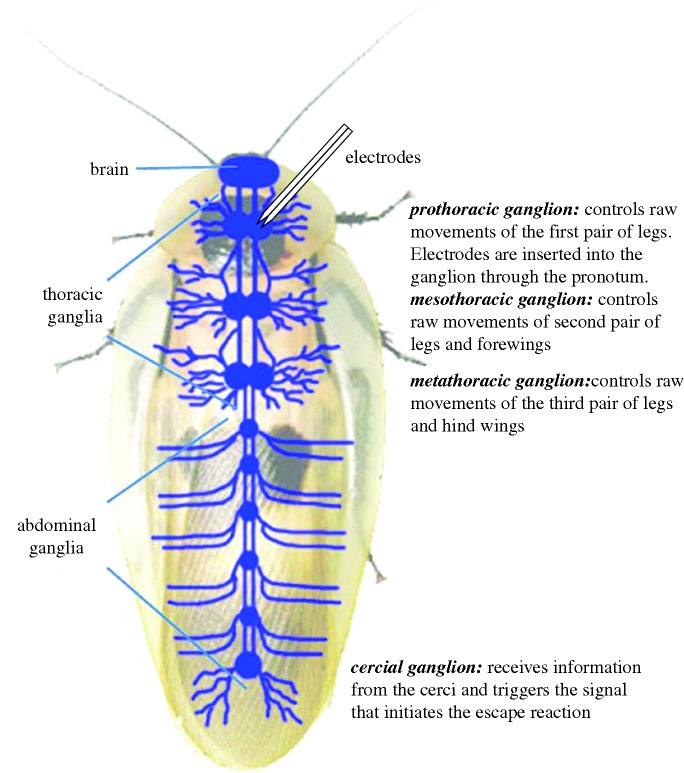 Figure 9.