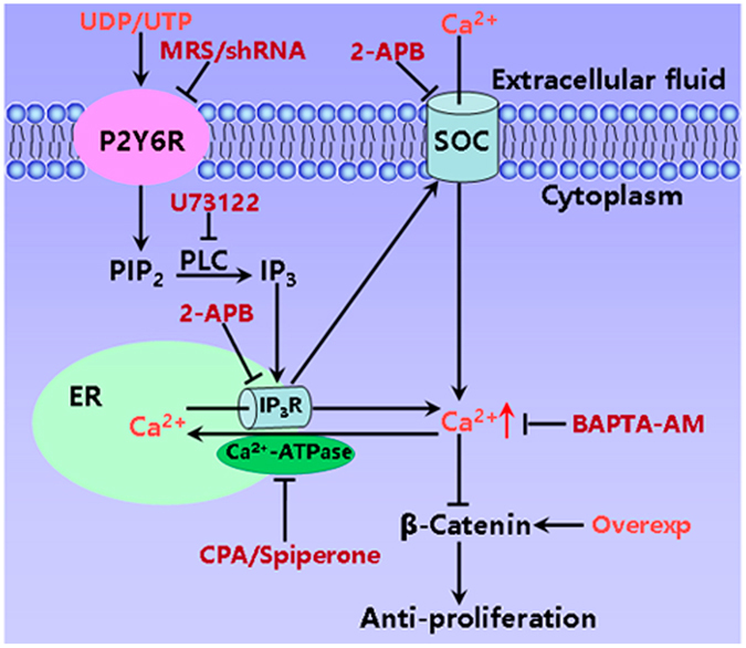 Figure 9