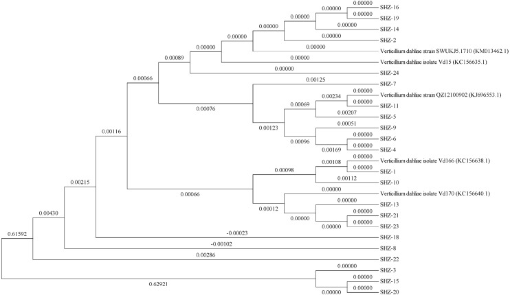 Figure 1