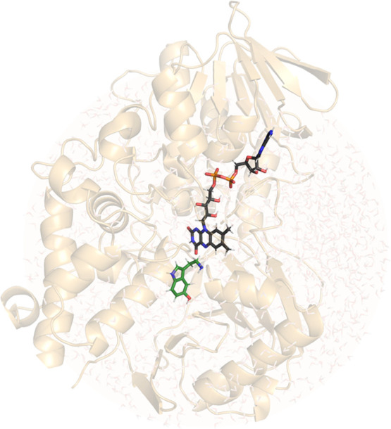 Figure 2