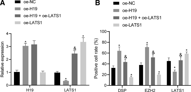 Figure 6