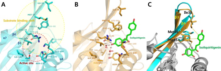 Fig 4