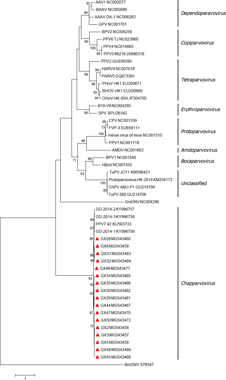 Fig 4