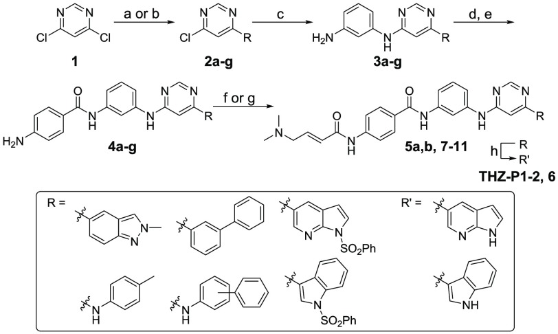 Scheme 1