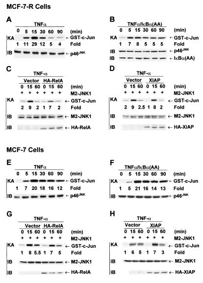 FIG. 6.