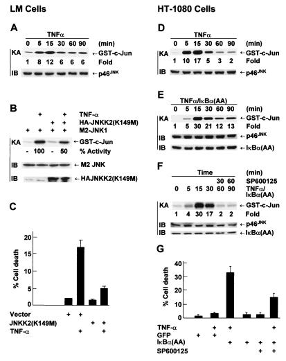 FIG. 8.