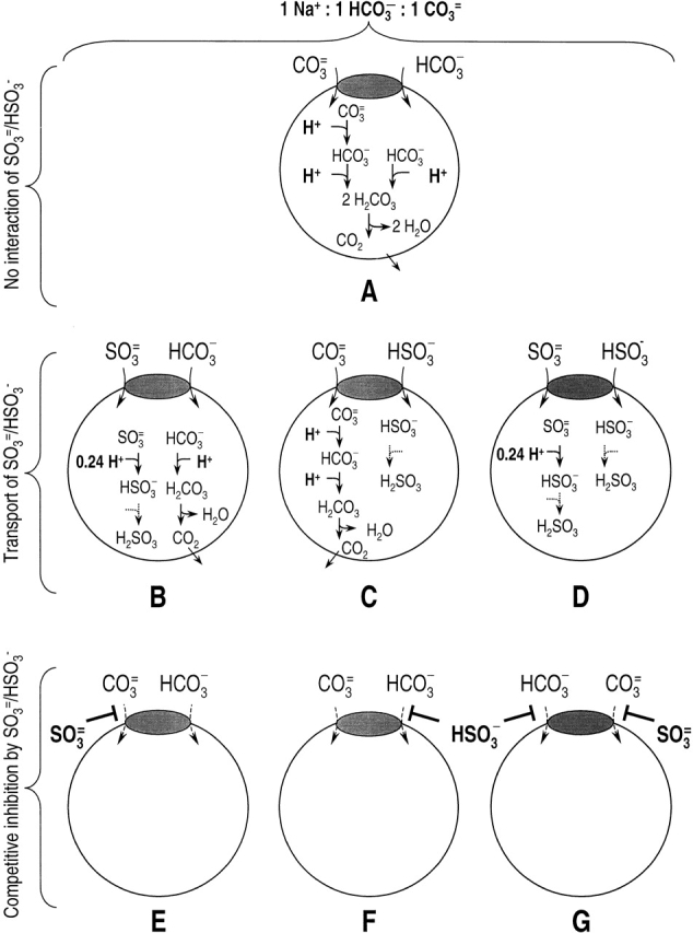 Figure 11a