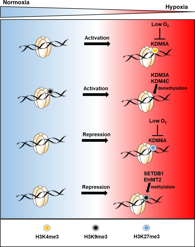 Figure 2.