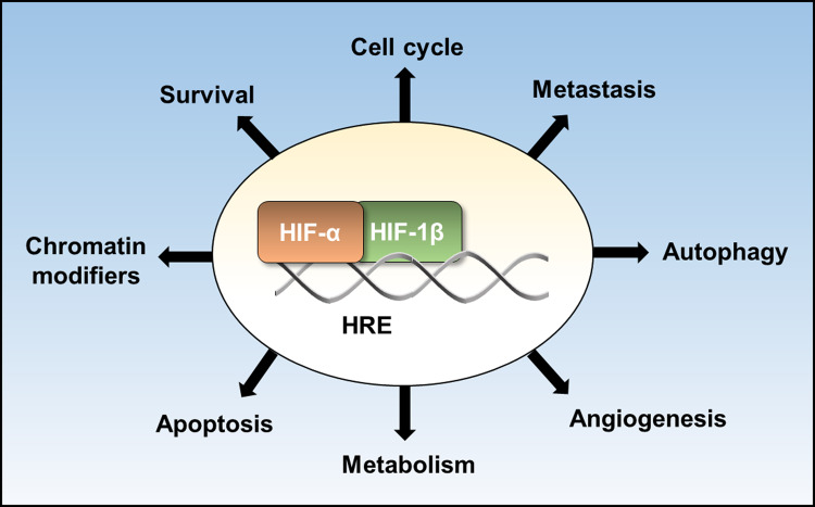 Figure 1.