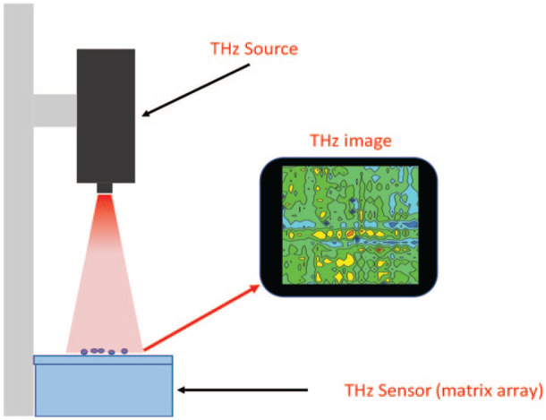 Figure 6.