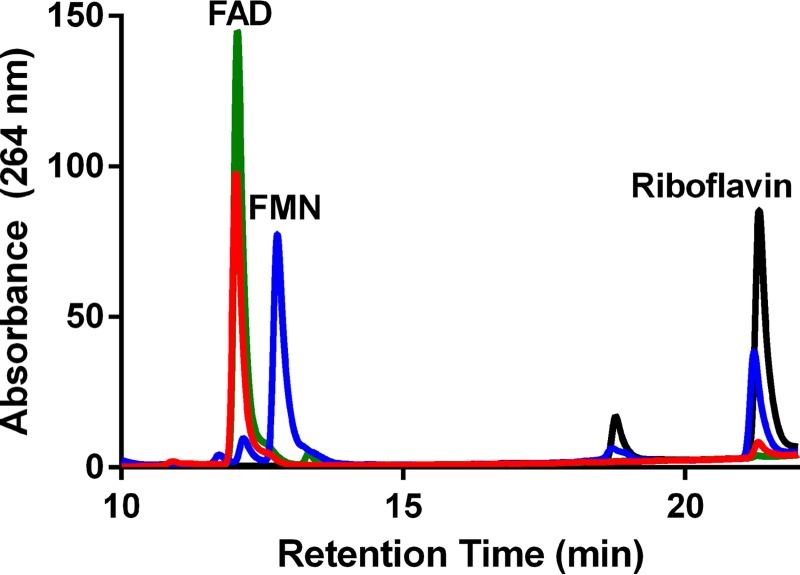 FIGURE 2.