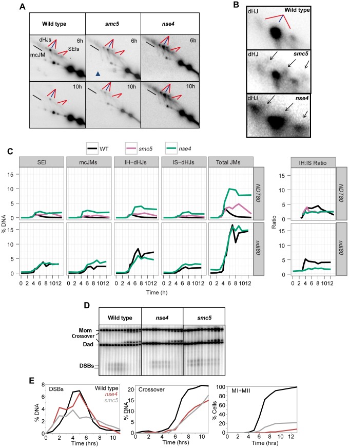 Figure 5