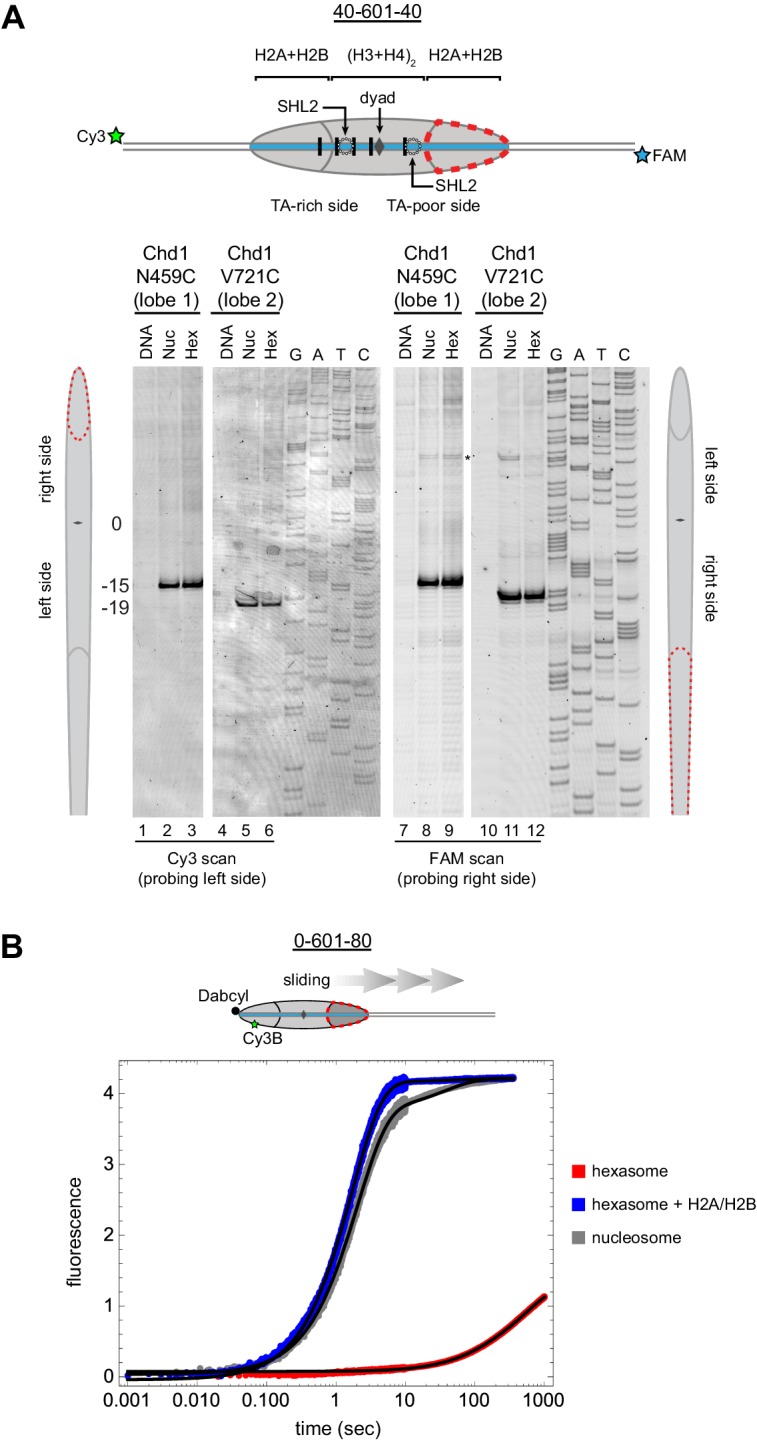 Figure 6.