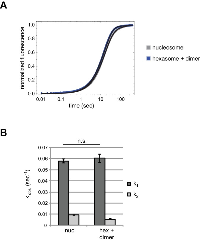 Figure 6—figure supplement 1.