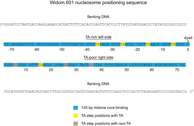 Figure 2—figure supplement 2.