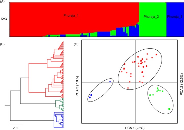 Fig 3