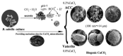 Figure 22