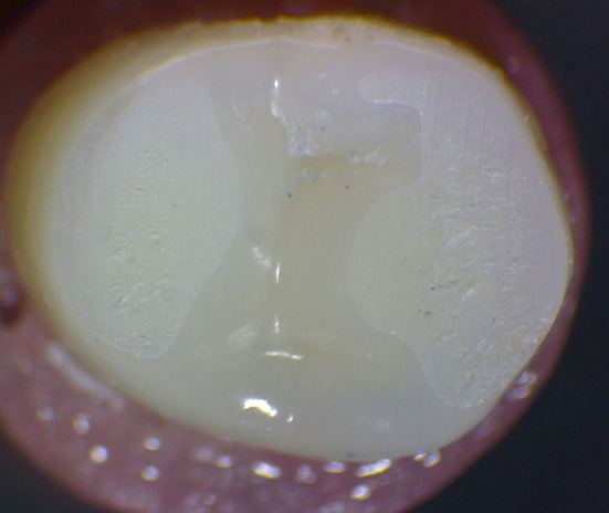 Fig. 5