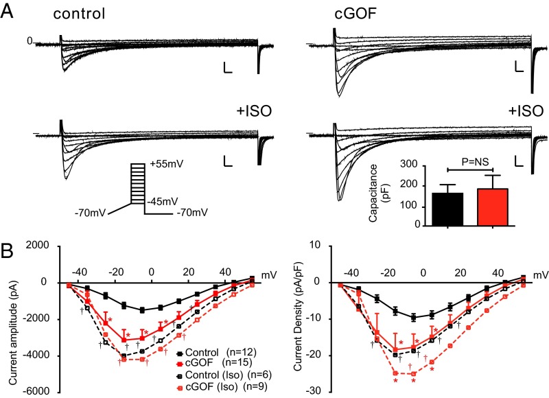 Fig. 4.