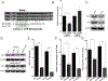 Figure 5: