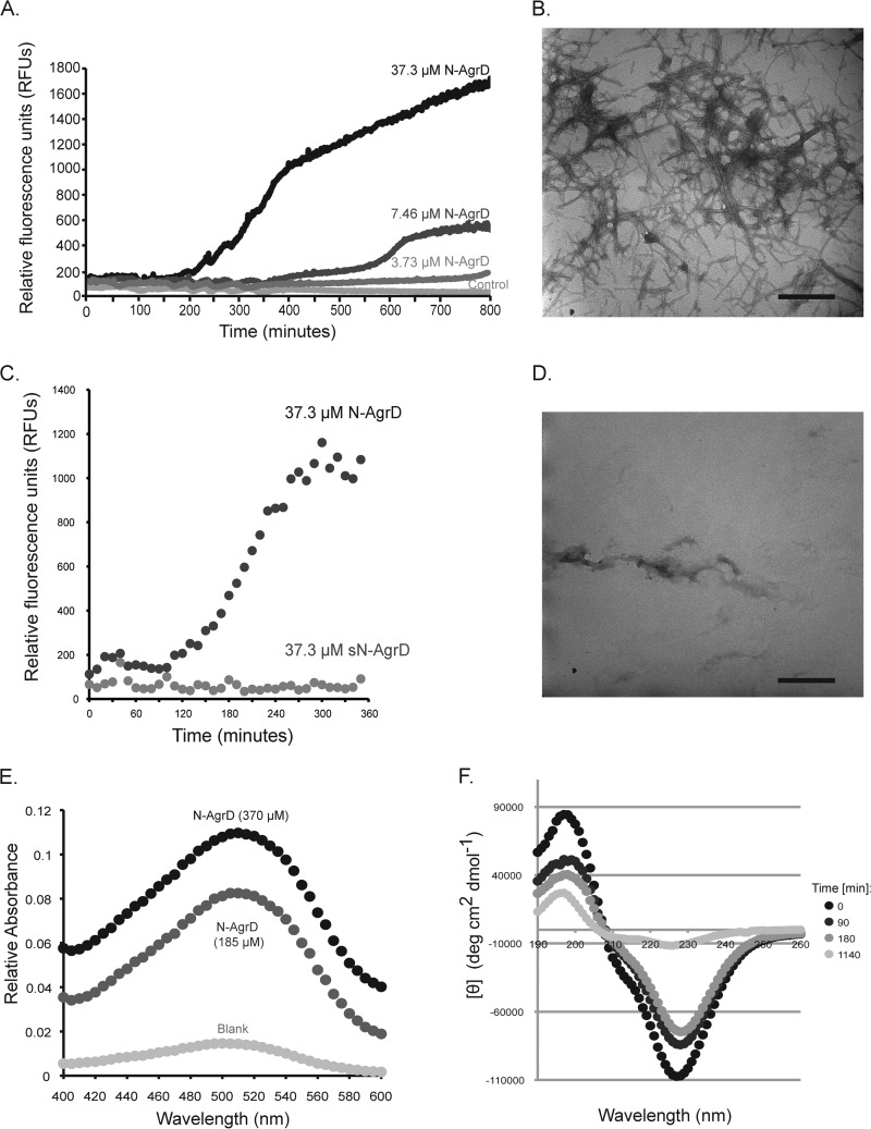 FIG 2