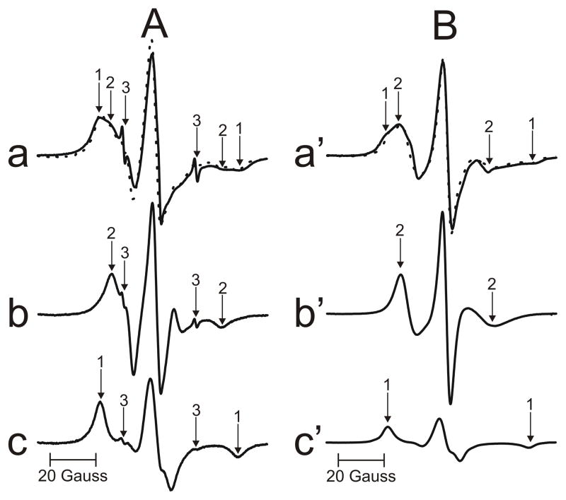 Fig. 5