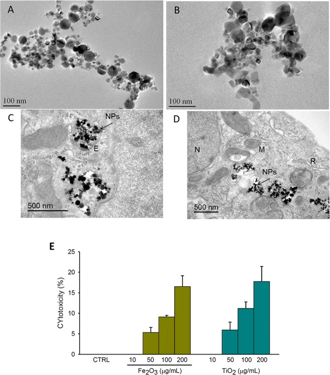 FIGURE 1