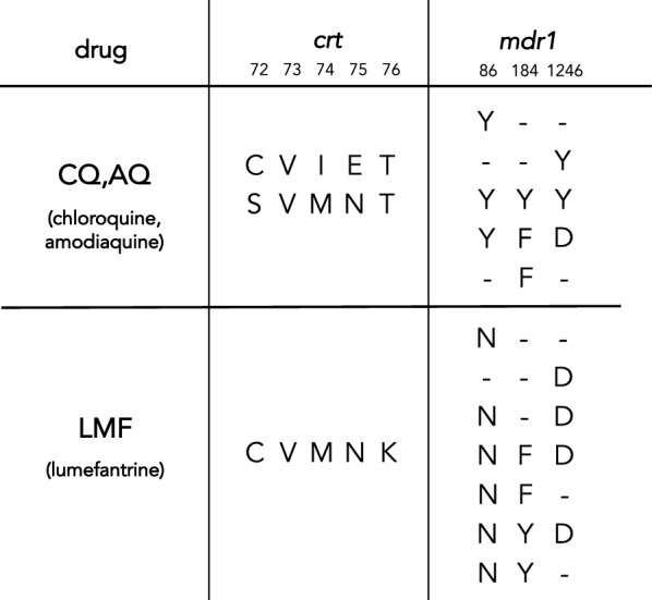 graphic file with name 12936_2021_3713_Tab1_HTML.jpg