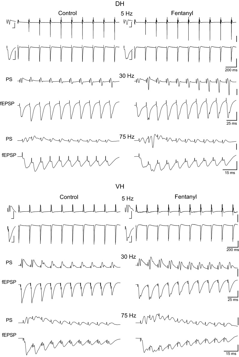 Fig. 13