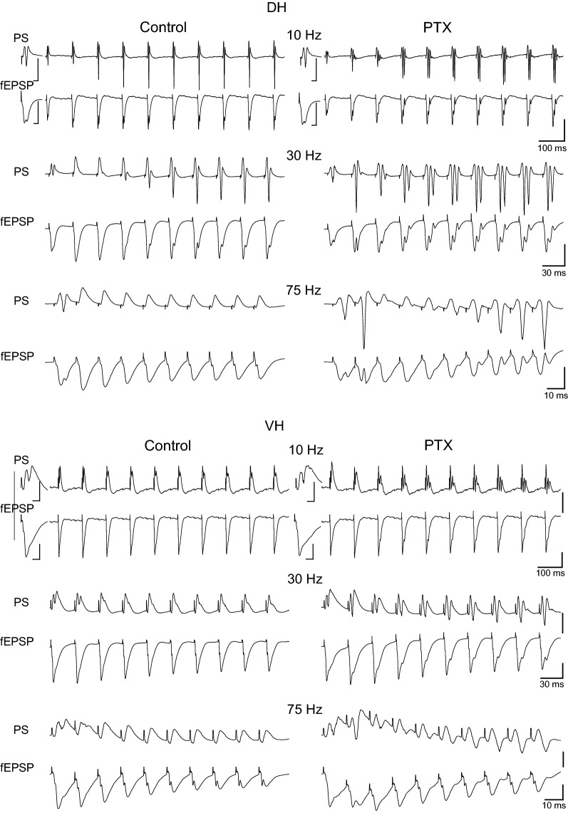 Fig. 8