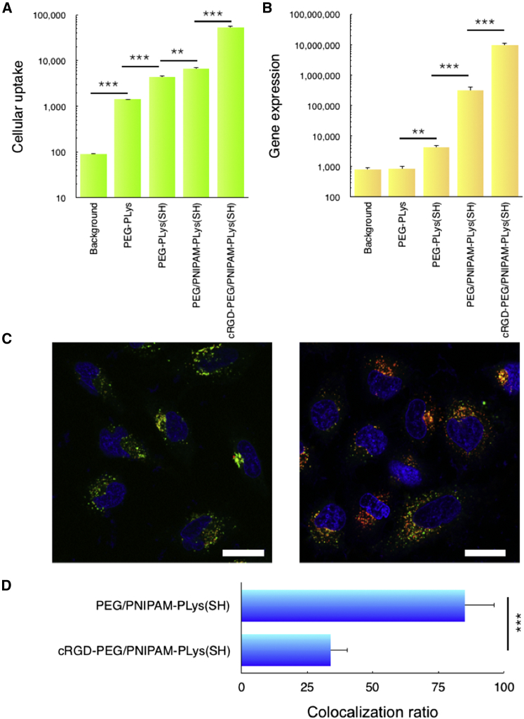 Figure 4