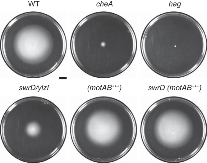 FIG 2