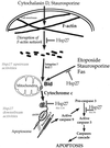 FIG. 14.