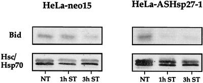 FIG. 9.