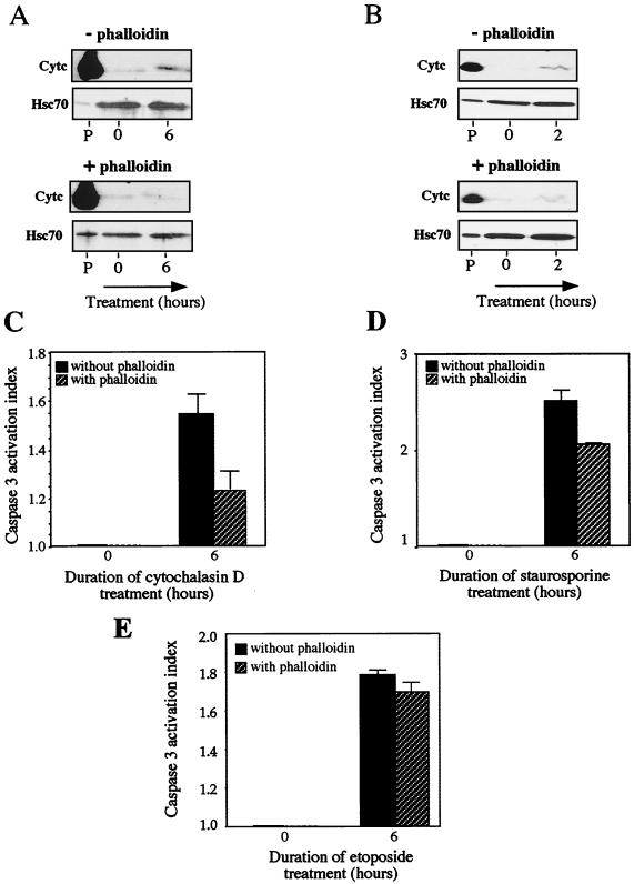 FIG. 12.