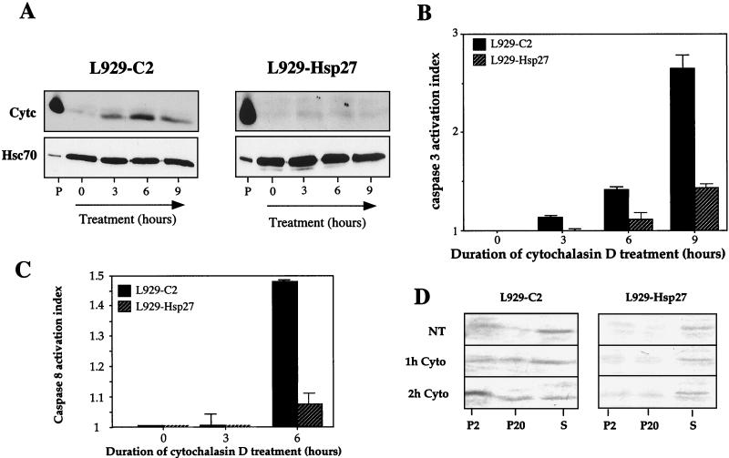 FIG. 11.