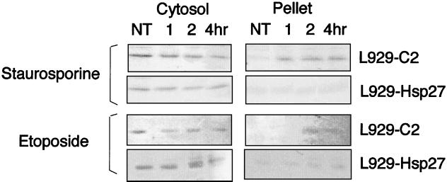 FIG. 10.