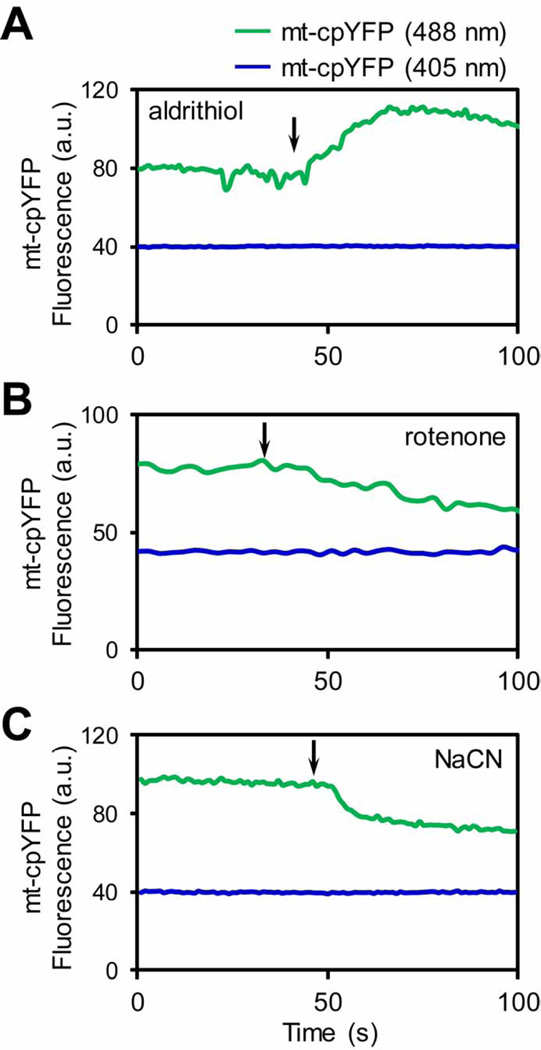 Fig. 3