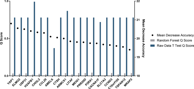 Figure 4)