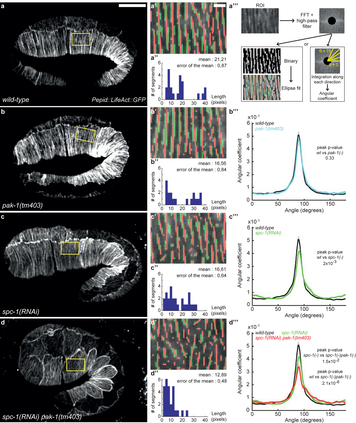 Figure 3: