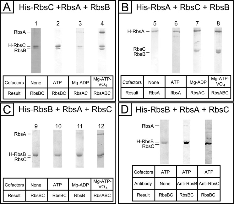 FIGURE 2.