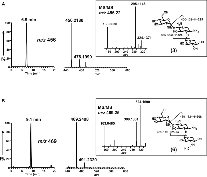 Figure 3