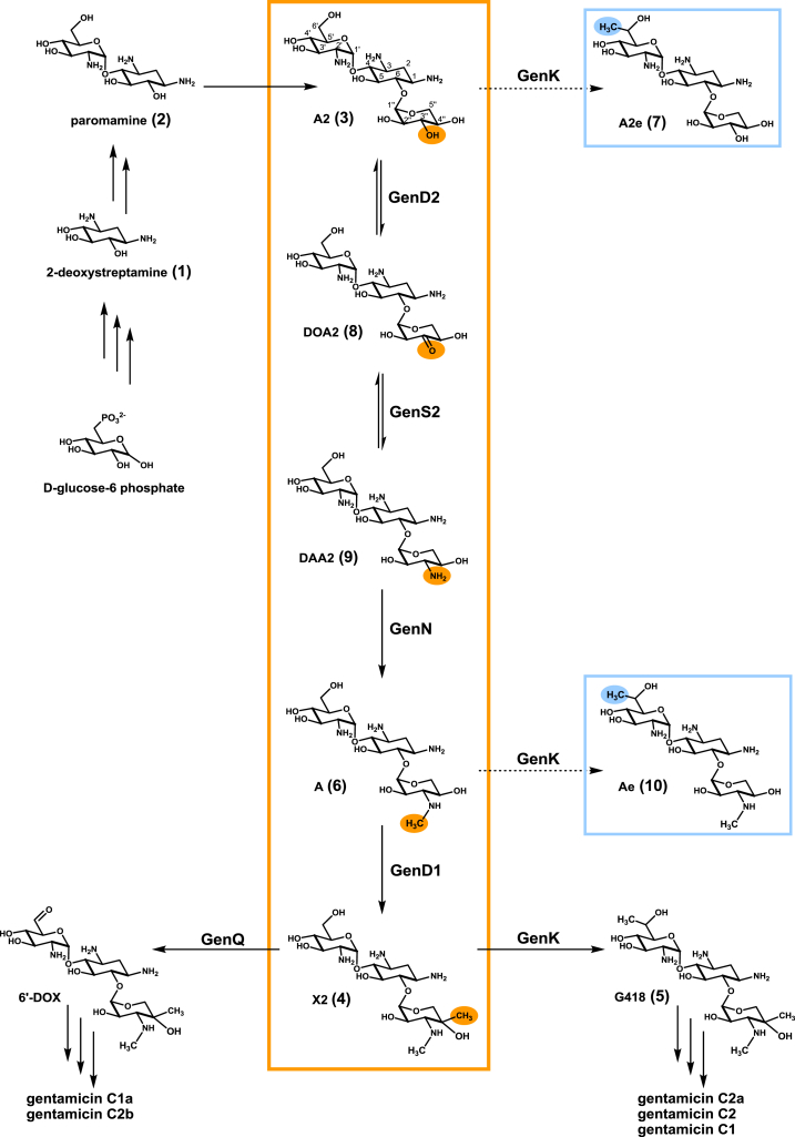 Figure 1