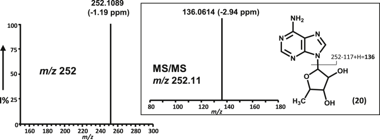 Figure 5