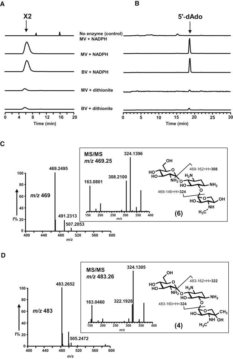 Figure 4