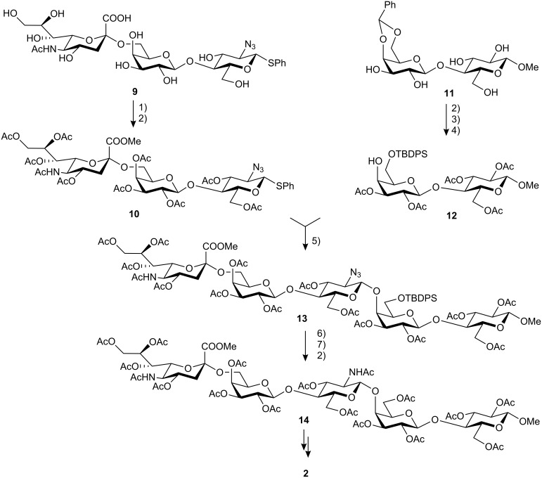 Scheme 2