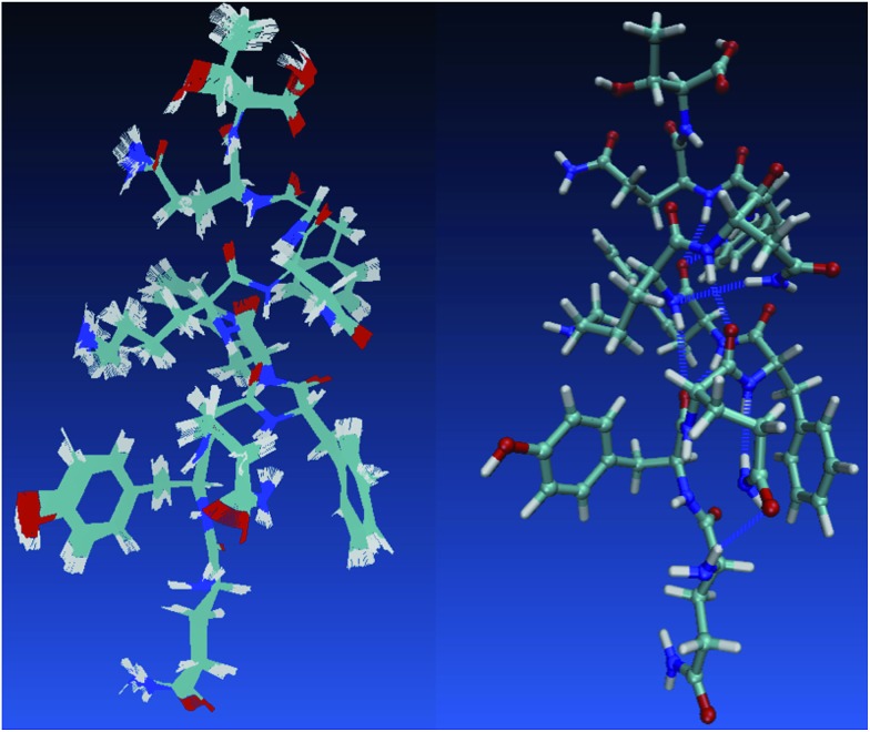 Fig. 10