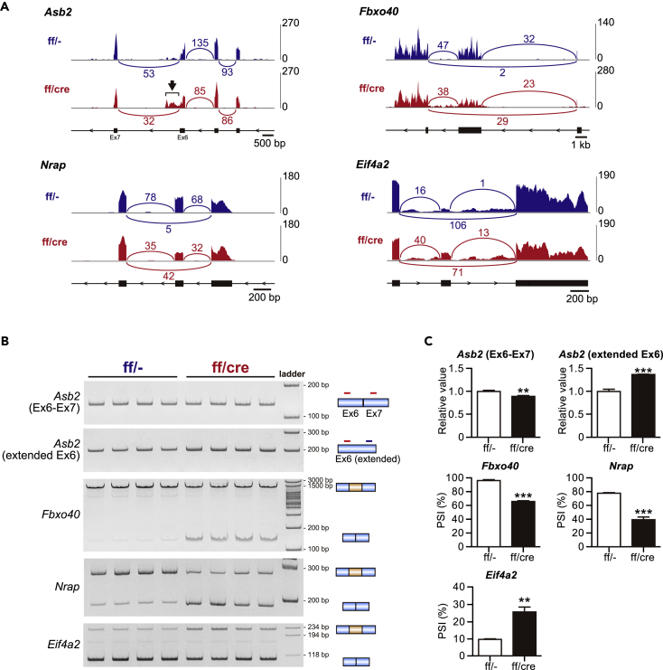 Figure 4