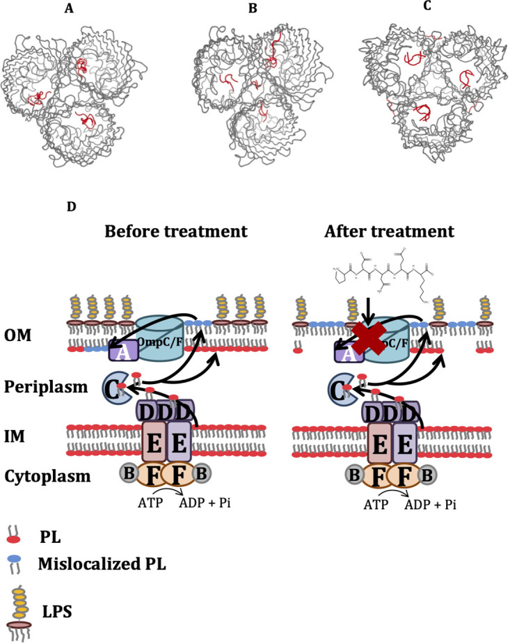 FIG 10