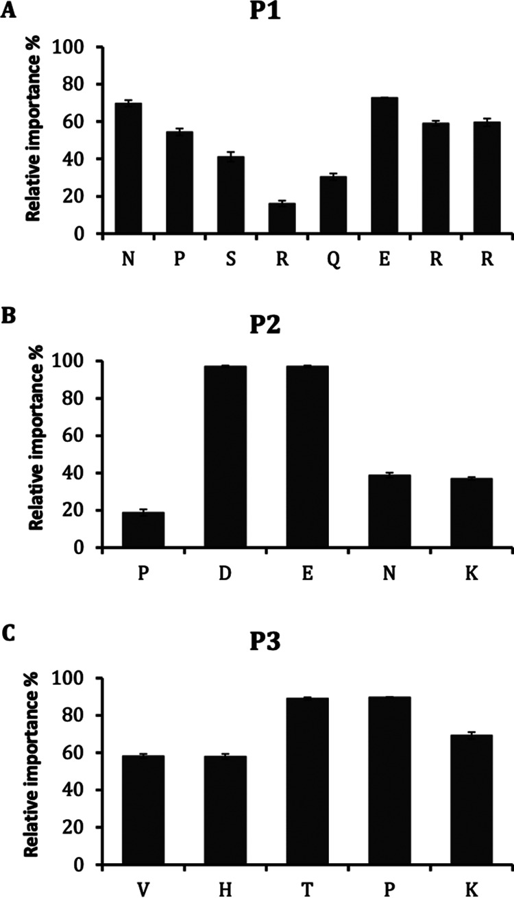 FIG 6